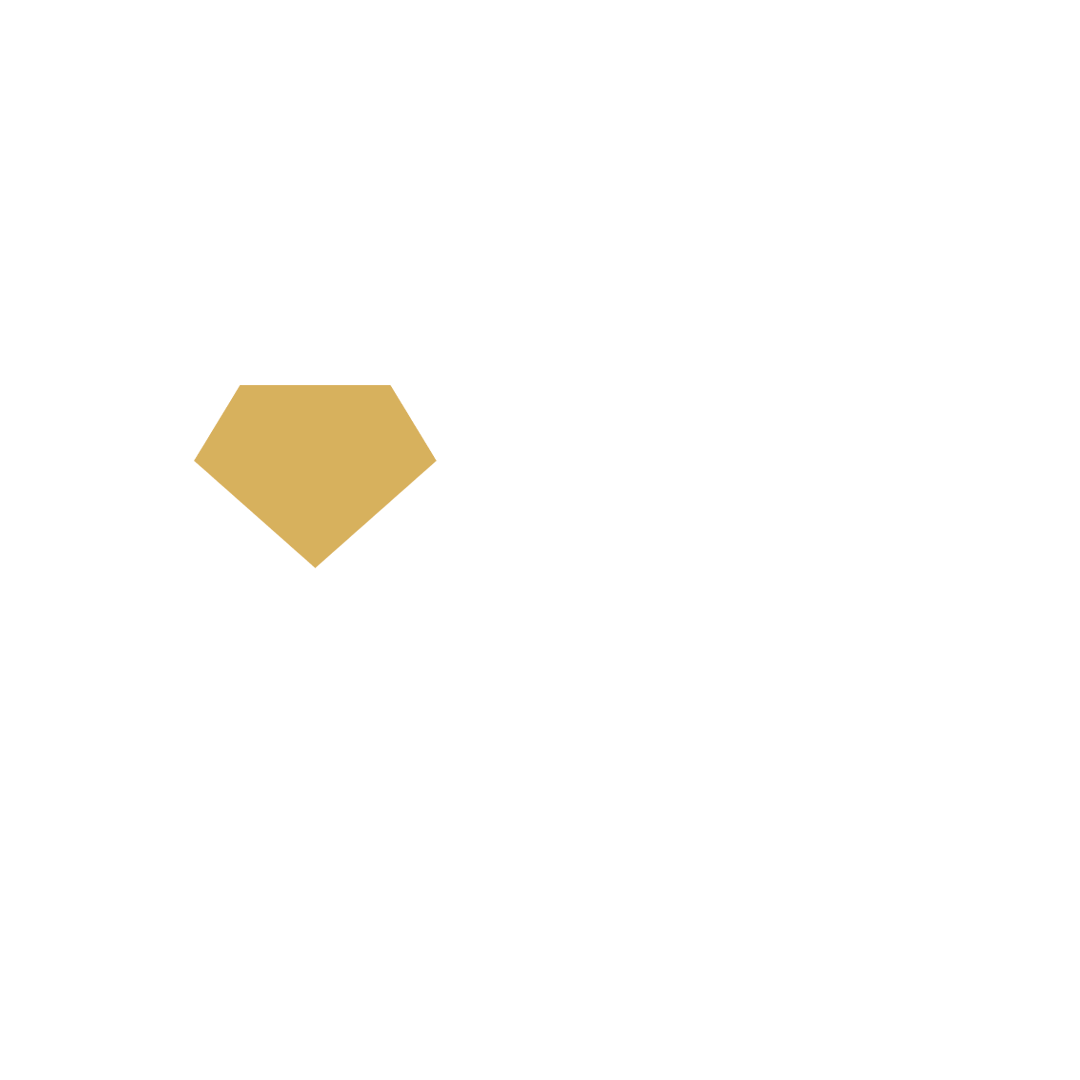 Grupo Accept